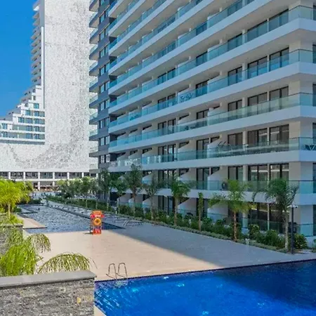 Grand Sapphire Holliday * Trikomo