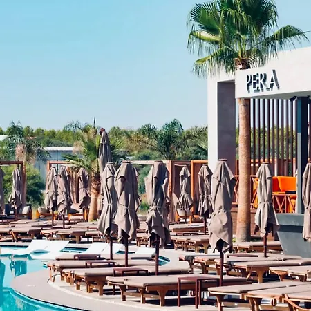 Grand Sapphire Holliday *